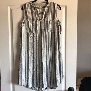 Striped Shift Shirt Dress